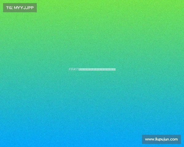 FIFA11南非世界杯补丁全解析与经典球队更新安装指南完整版